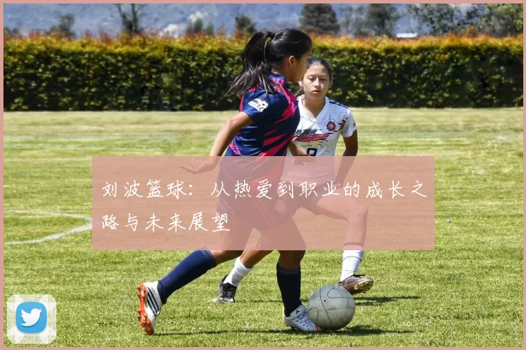 刘波篮球：从热爱到职业的成长之路与未来展望