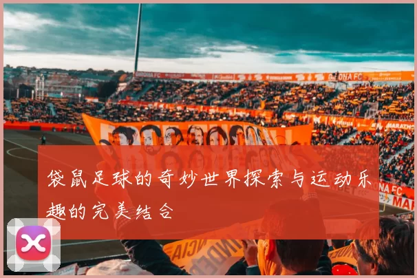 袋鼠足球的奇妙世界探索与运动乐趣的完美结合