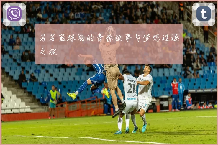 芳芳篮球场的青春故事与梦想追逐之旅